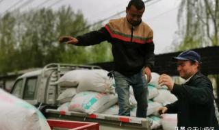 小顽皮饲料 小顽皮饲料