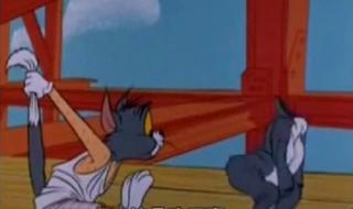 河南版猫和老鼠全集 河南版猫和老鼠全集