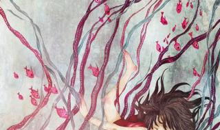 春晓为什么有三个作者 春晓为什么有三个作者