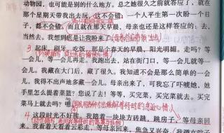 那个星期天课堂笔记 那个星期天课堂笔记