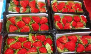 春暖花开的最新地址 春暖花开的最新地址